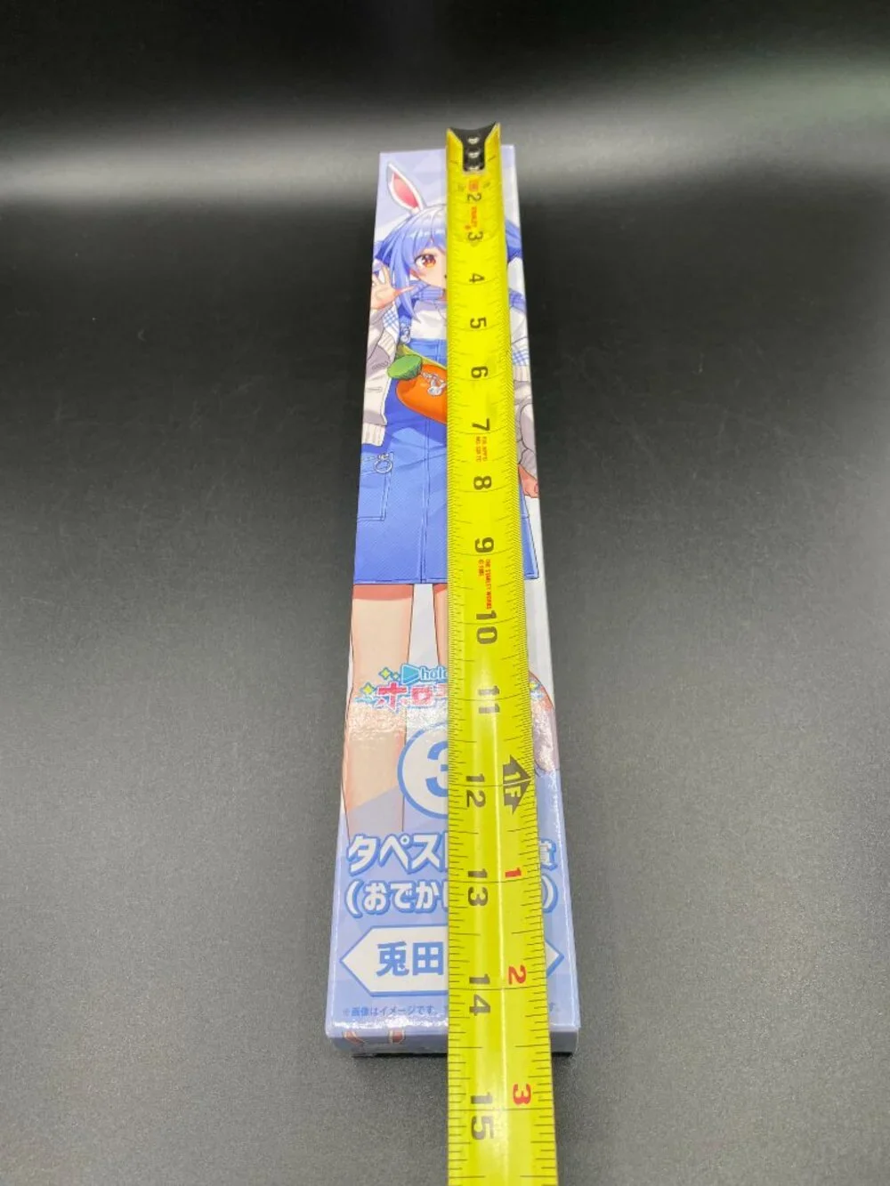 Hololive Usada Pekora Tapestry Scroll 3 (Going Out Version) Kuji Hololife New